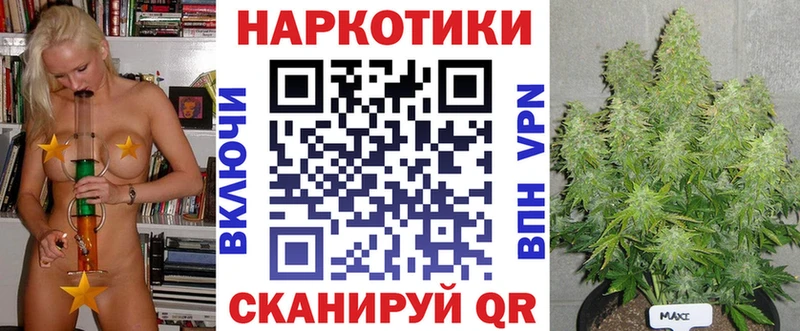 ГАШ Пересвет